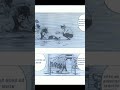 edit don lorenso