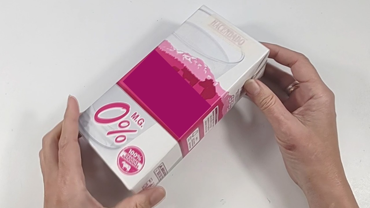 3 Amazing ideas with MILK or JUICE CARTONS 😍 Crafts and Recycling
