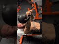 Upper Body Strength Exercises for Combat Sports