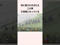 神に愛されすぎだろこの男が話題となっている #競馬 #競馬予想 #shorts