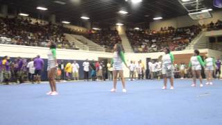 South Carolina State University Greek Showcase (ALPHA KAPPA ALPHA)