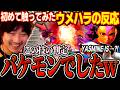 Daigo checks out new character Yasmine and shares his impressions【SF6】