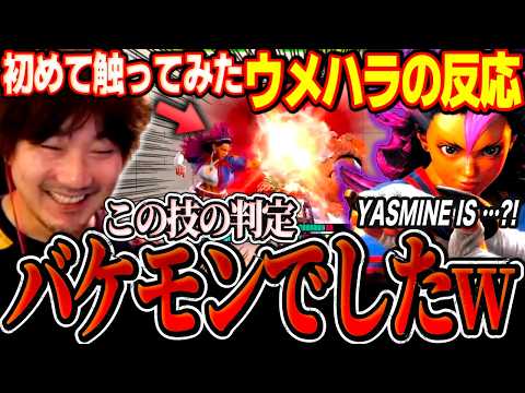 Daigo checks out new character Yasmine and shares his impressions【SF6】