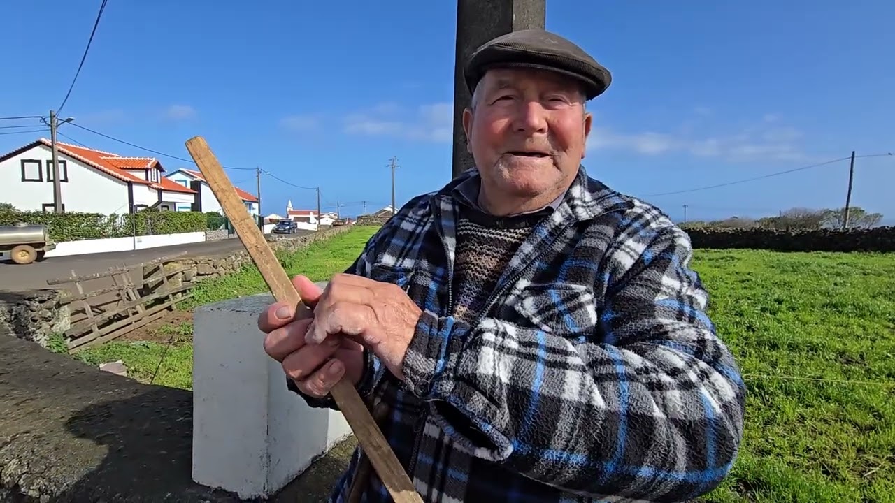 Pão de milho com pão de trigo