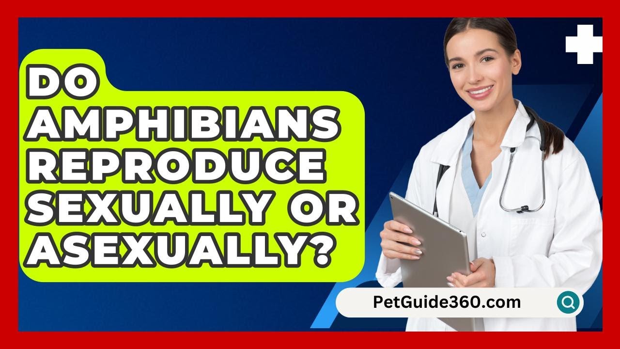 Do Amphibians Reproduce Sexually Or Asexually? - PetGuide360.com