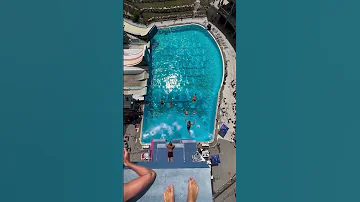 Diving Into Organized Chaos Like 