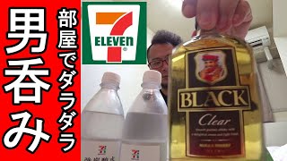 一人で豪遊【セブンイレブン】ベロベロ注意