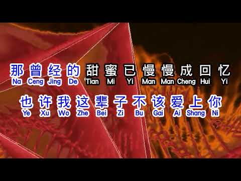 丁乙  《 最后的人不是你 》  zui hou de ren bu shi ni