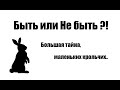 Останемся без крольчат!?/Такого не может быть!/Проверка крольчих на беременность