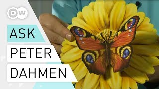 Ask a Designer: What is Pop-up paper art Peter Dahmen?