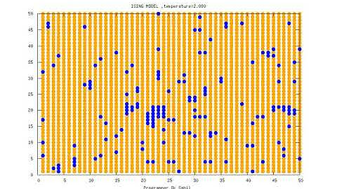 Ising Model Simulation #Gnuplot #Fortran