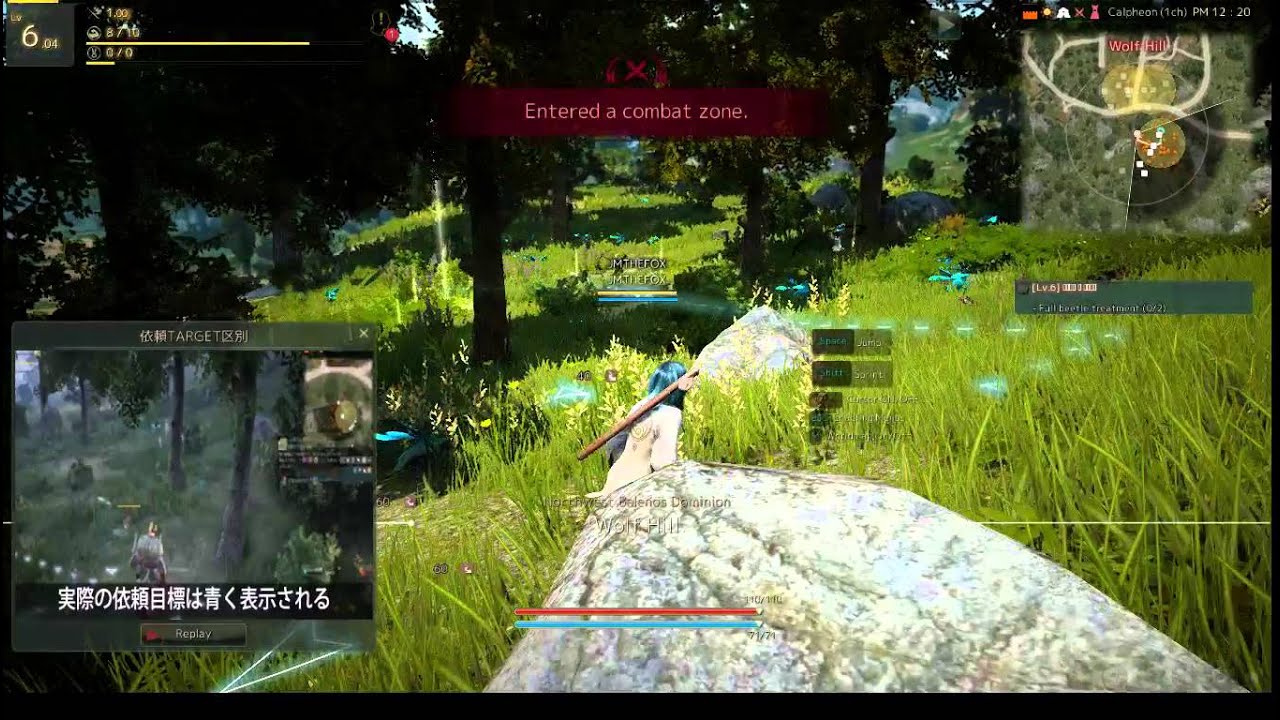 [Black Desert Online (Japan)] Beast Master Beginner Gameplay YouTube