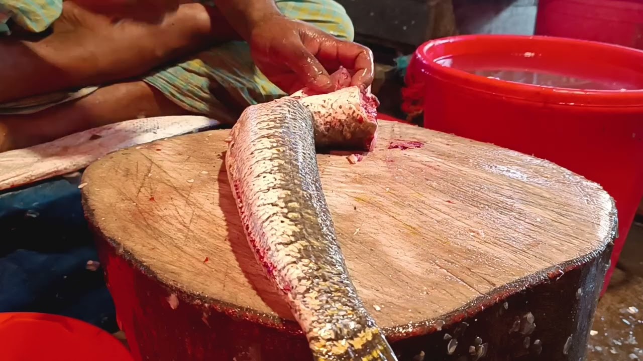 Snakehead Fish Cutting Skill Today's fish market || Sola fish cutting video 