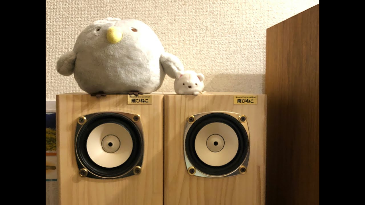 Fostex  FE103A を鳴らす🔊