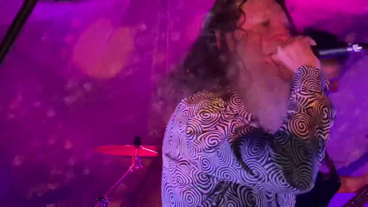 The Spivs - “What You Really Like”