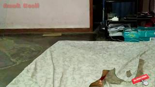 Video Anak Kecil Menghilang Ala Film Hollywood Visual Effects