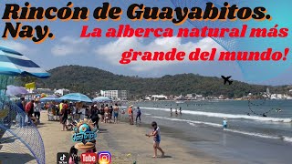 Guayabitos en Semana Santa 2024: ¡La alberca natural más grande del mundo!