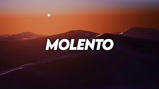 AFRONOM & Milius - Molento [Afro House]