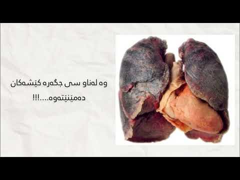 چی ڕوو دەدات کاتێک تەنها ١٠ جگەرە دەکێشیت
