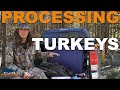 HOW TO CLEAN A TURKEY | Hunters Connect