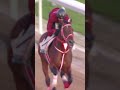Look at him go! FOREVER YOUNG フォーエバーヤング Breezes at Belmont for the G1 Jockey Club Gold Cup.