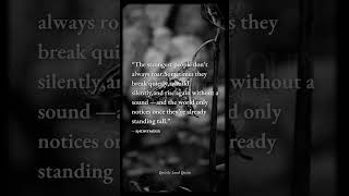 This One’s for the Quiet Fighters 💔 #foryou #viral #shorts #quietlyloudquotes #quotes #motivation