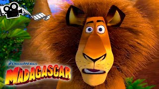 Madagaskar Full Film Svenska Spel Video Game Story Game Movies