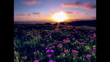 سورة المطففين للشيخ خالد الجليل ❤❤أجمل صوت في تلاوة القرآن الكريم ❤❤
