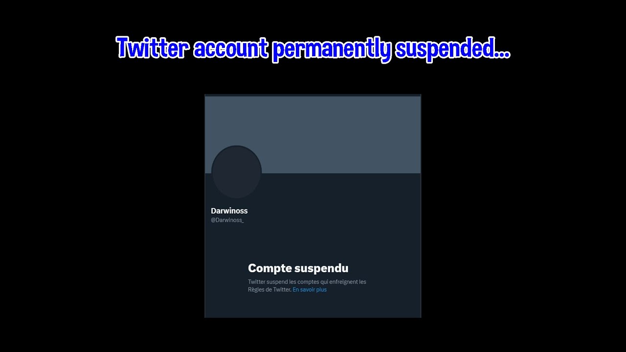 Twitter account permanently suspended...