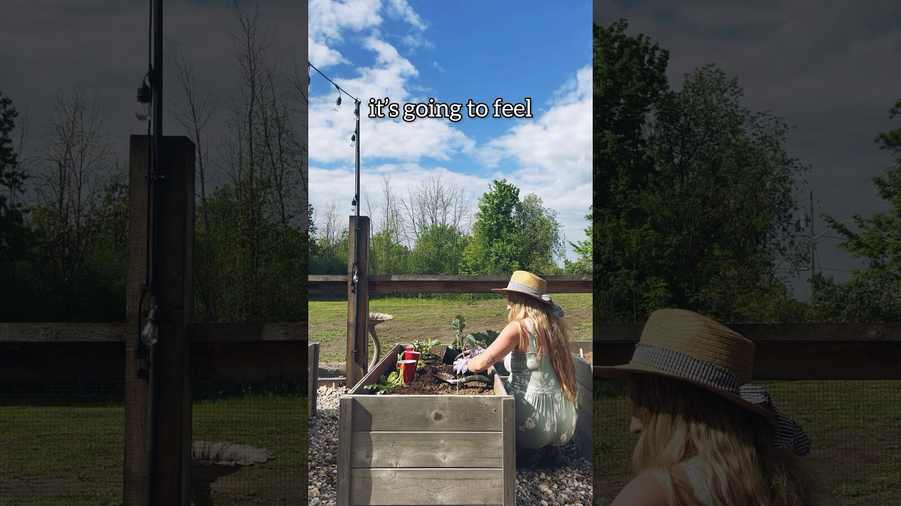 trust your life timing ✨ 