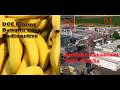 Daily Radioactive Nuclear News & Fukushima Horror Show Environmentalist Dana Durnford