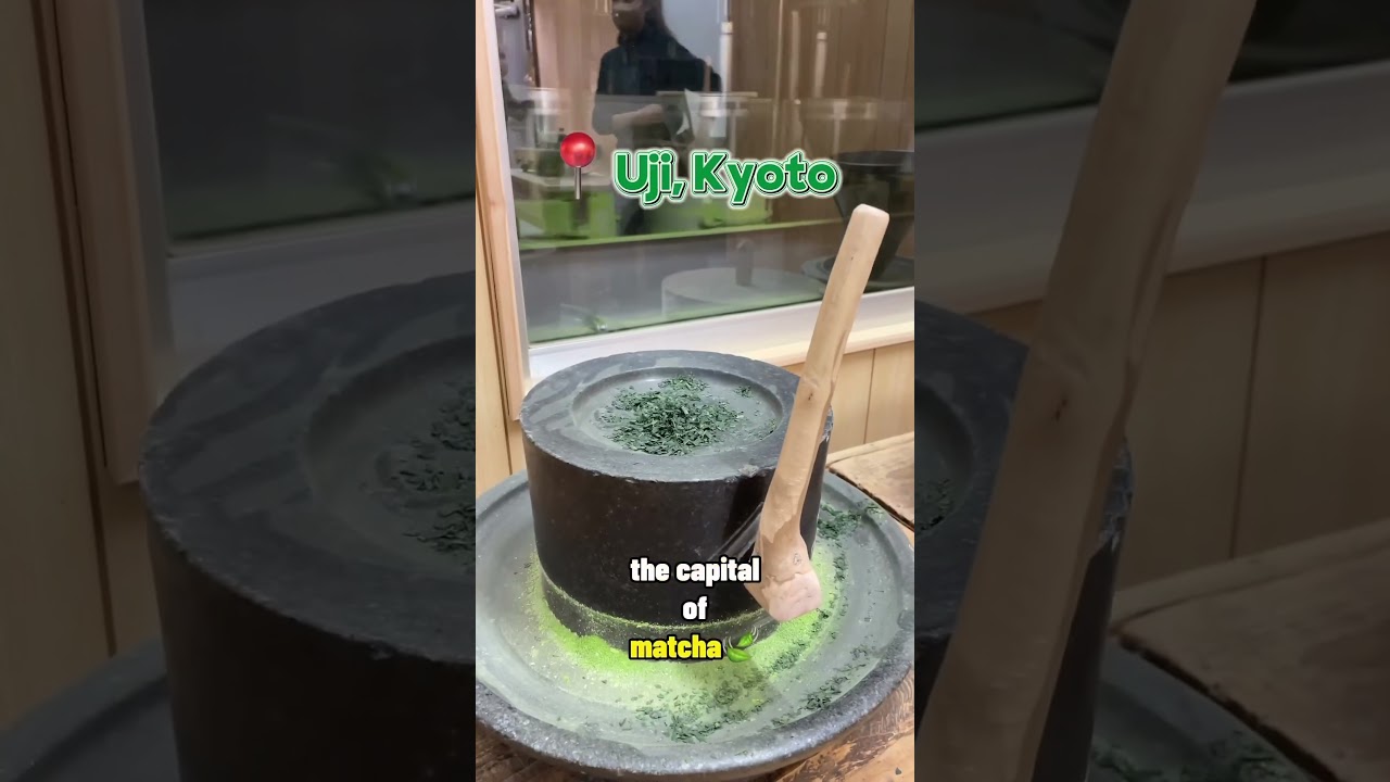 На фабрике по производству матча в Киото~ 🍵