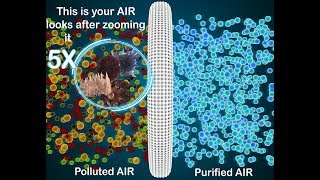 Proof That air purifier for healthy life Is Exactly What You Are Looking For