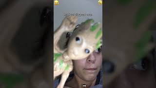 When Humans Encounter Insects#shorts #scared #funnyvideos #fyp #bug