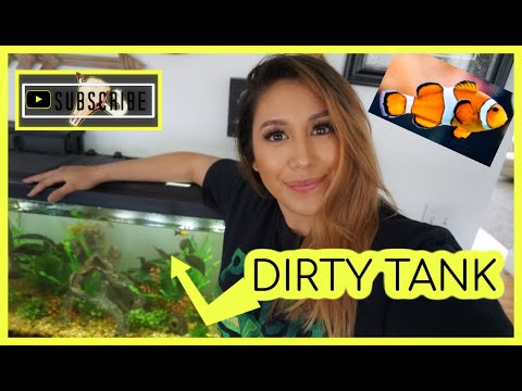 Easiest way to clean a fish tank monthly  |Without removing fish