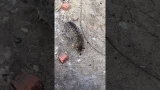 Рыбы нет приходится есть шашлык #рыбалка#рыбалка2020#подпишись#ростов#