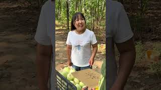 The Melon Seller Who Failed Basic Math! #funny #haveitoldyoulatelythatiloveyou  #facts #comedy
