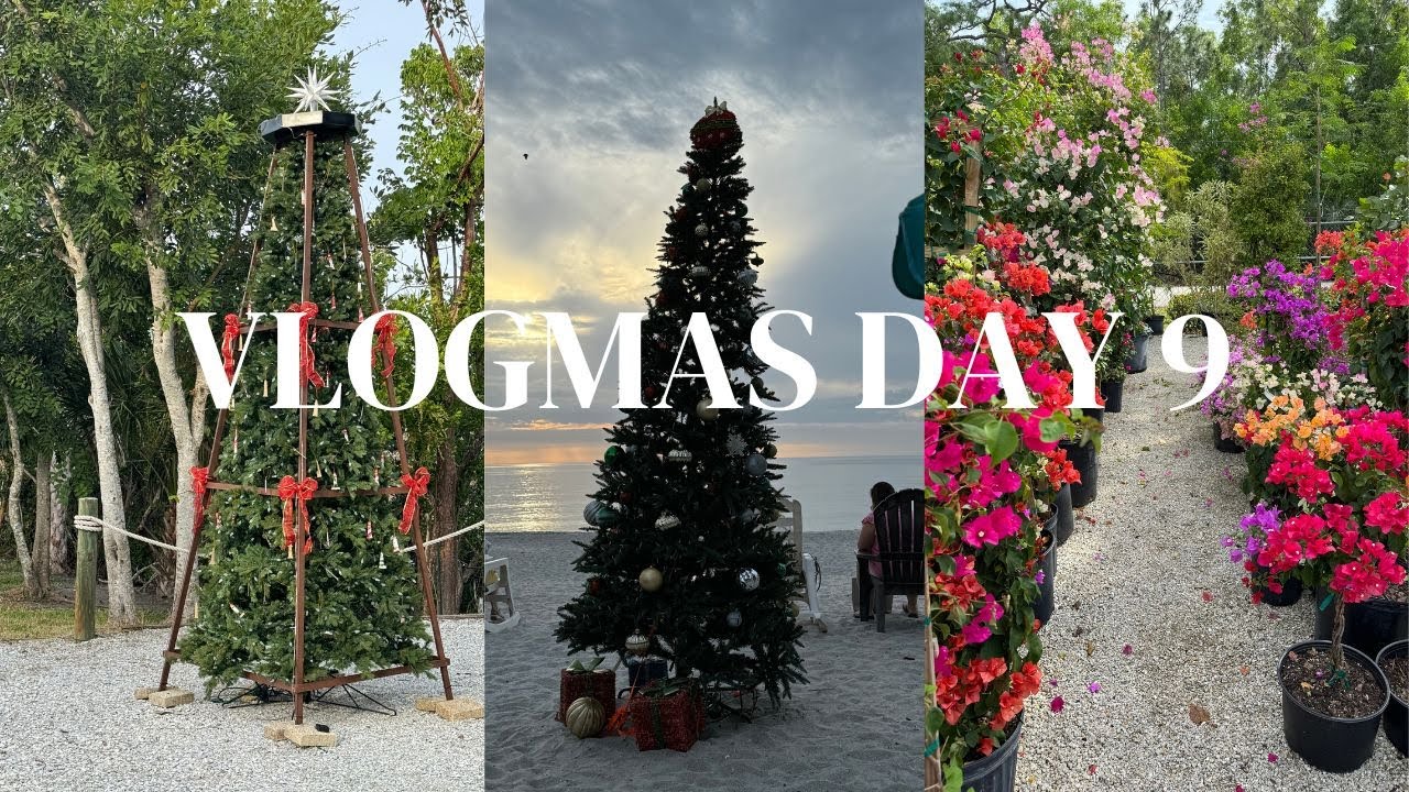 VLOGMAS DAY 9 FINISHING TOUCHES ON MY NEW HOUSE, DOG TREAT HAUL