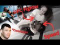 Former Adult Dancer turned UFC fighter almost INJURED ishowspeed