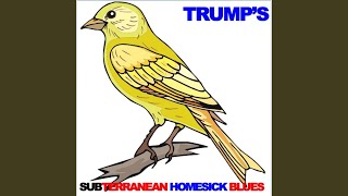 Hoodoo Man Blues (Live in Chicago)