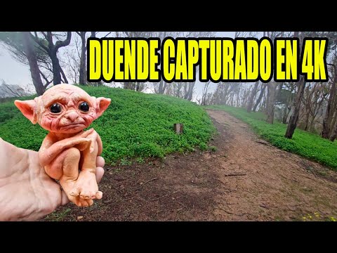 Capturan un DUENDE REAL en una JAULA Laguna Negra