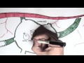 Beginning of video