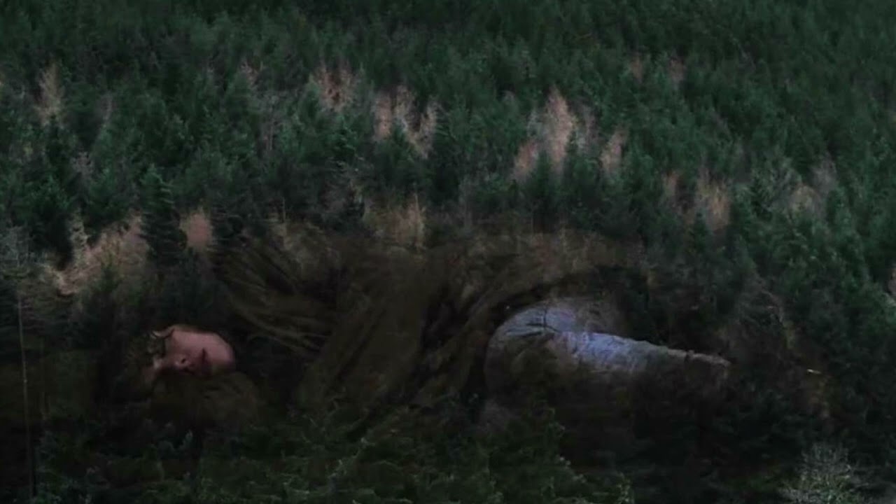 Eternal voyage from Rituals of the sun