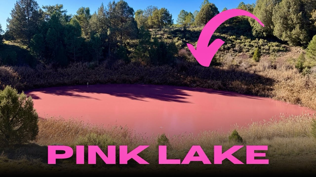 INCREDIBLE PINK LAKE Cañada del Hoyo CUENCA 4K