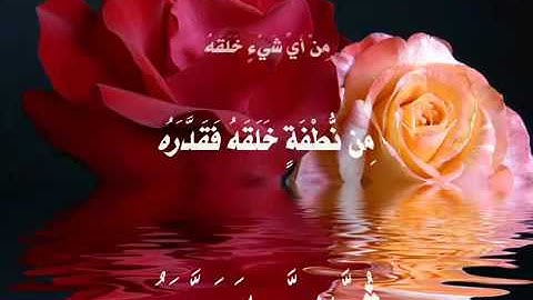 Surah 80  Abasa سورة عبس by Muhammad Siddiq Minshawi