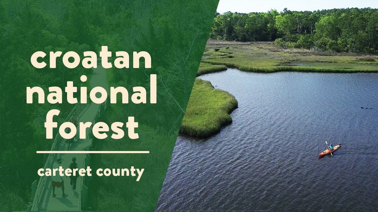Croatan National Forest The Only True Coastal Forest in the East YouTube