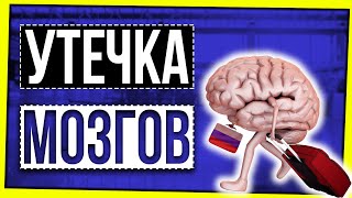 БИЛЕТ В ОДИН КОНЕЦ / УТЕЧКА МОЗГОВ