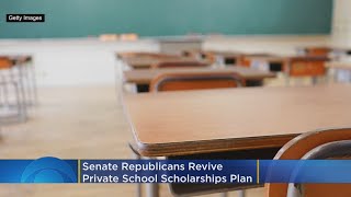 Senate Republicans Revive Private School Scholarships Plan