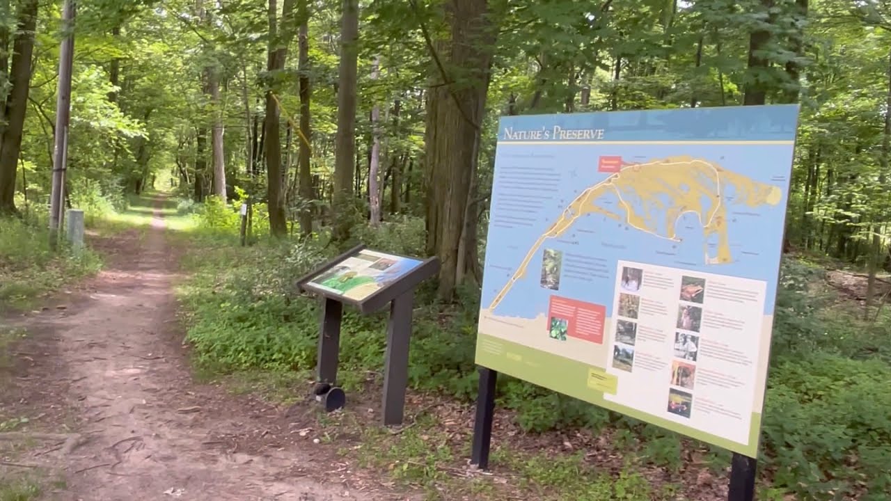 So Many Birds - Sidewalk Trail - Presque Isle State Park - Erie, PA