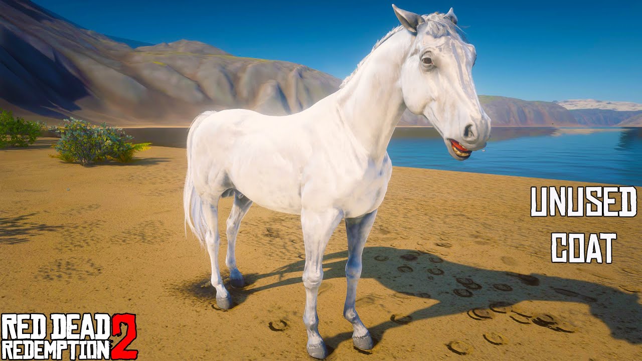 Speckled Arabian Cut Horse RDR2 YouTube